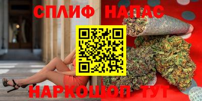 сатива Будённовск