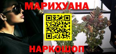 сатива Будённовск
