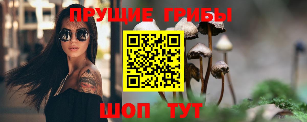 Псилоцибиновые грибы Cubensis Сыктывкар